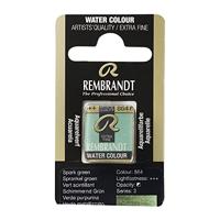 Rembrandt Aquarelverf Napje - Sprankel Groen #864 - thumbnail