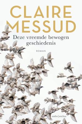 Deze vreemde bewogen geschiedenis - Claire Messud - ebook