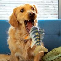 Honden-speelgoed wild shieldz perch medium Gebr. de Boon - Gebr de boon - thumbnail