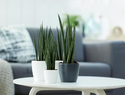 Elho Brussels Mini bloempot rond 10,5 cm wit - thumbnail