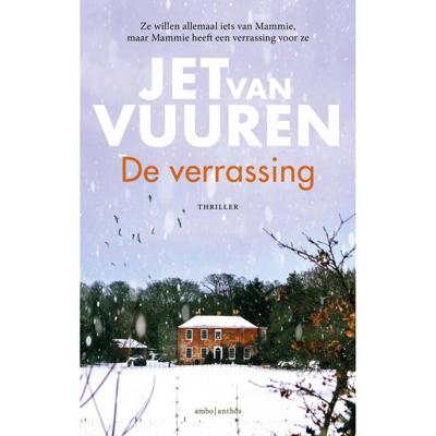 De verrassing (Paperback)