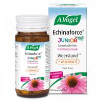 A Vogel Echinaforce junior & vitamine C 80 Kauwtabletten - thumbnail