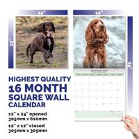Engelse Cocker Spaniel Kalender 2026 - thumbnail