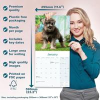 Miniatuur Schnauzer Kalender 2026 - thumbnail