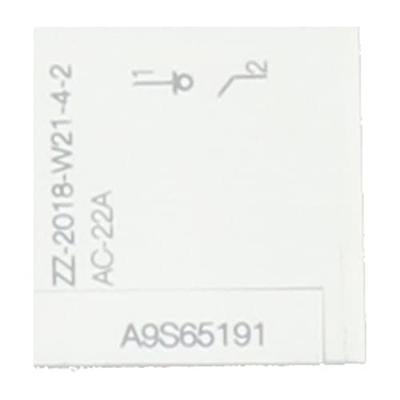 Schneider Electric A9S65191 100 A 240 V