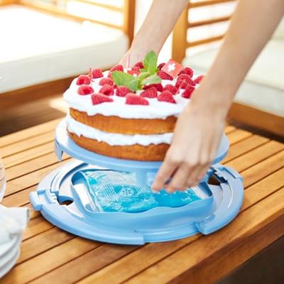 Rotho fresh taartdoos cool & horizon blauw