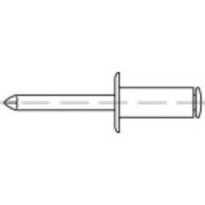 TOOLCRAFT 159907 Open popnagel (Ø x l) 6 mm x 14 mm Staal Staal 250 stuk(s)