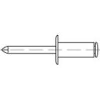 TOOLCRAFT 159907 Open popnagel (Ø x l) 6 mm x 14 mm Staal Staal 250 stuk(s) - thumbnail