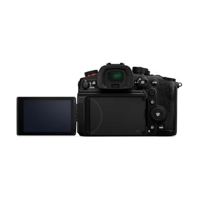Panasonic Lumix DC-GH7 + Panasonic Lumix G Vario 14-140mm F/3.5-5.6 Power OIS WR - thumbnail