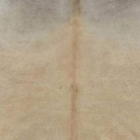 Vloerkleed 150x170 cm echte runderhuid beige - thumbnail