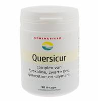Quersicur - thumbnail