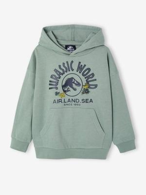 Jungen Kapuzensweatshirt JURASSIC WORLD korstmos