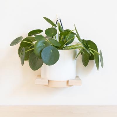 Calais - Planthanger Calais - Planthanger