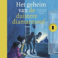Het geheim van de duistere diamantroof - thumbnail