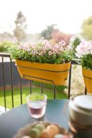 Elho Vibia campaba all-in-1 trough 50 honey yellow - thumbnail