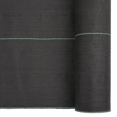 Worteldoek 1x150 m polypropeen zwart - thumbnail
