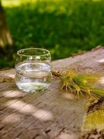 Drinkglas Mythos met Bloem des Levens Goudkleurig - thumbnail