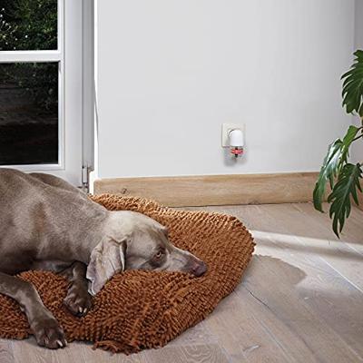Beaphar CaniComfort complete starterskit 48ml hond