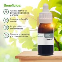 Soria Ginkgo Biloba Xxi Extr.fl. 50ml - thumbnail