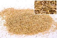 WOLF-Garten 3826636 LR-S 50 Turbo Gazonherstel schaduw voor 50 m² 1 stuk(s) - thumbnail