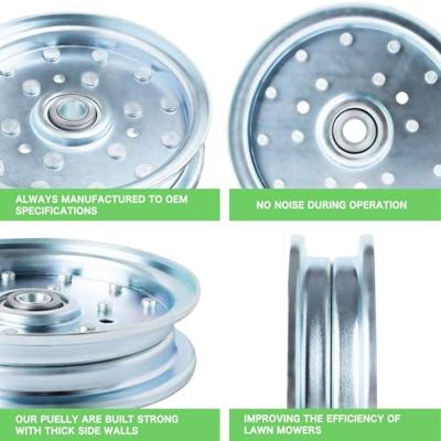 Bruggeman Instant Gist 55 gram