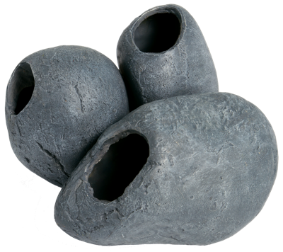 Superfish Fish cave 3