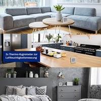 TFA Dostmann Thermo- en hygrometer Zilver, Zwart - thumbnail