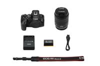 Canon EOS R6 Mark III + RF 24-105mm F/4-7.1 IS STM - thumbnail