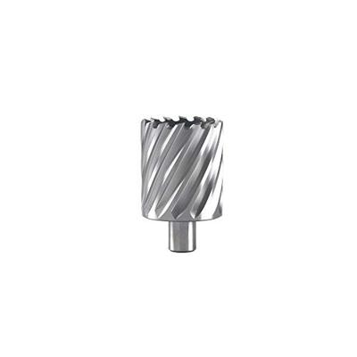 Hikoki Accessoires Kernboor 91X55 Mm - 754580