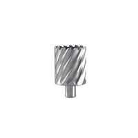Hikoki Accessoires Kernboor 91X55 Mm - 754580 - thumbnail