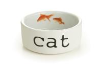 Snapshot Cat keramieke eetbak - thumbnail