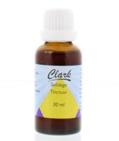 Clark Solidago Tinctuur - thumbnail
