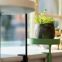 Esschert Design plantenblad met klem rond s groen - thumbnail