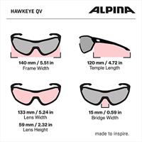Olympic Sportswear Alpina sports sportbril hawkeye qv mat zwart - thumbnail
