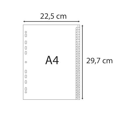 Exacompta tabbladen numeriek voor ft A4, uit PP, 31 tabs, grijs