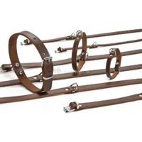 Beeztees - Halsband Hond - Leer - Bruin - 43-52 cm x 20 mm - thumbnail