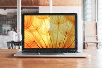 3M Bright Screen BPNMS002 Privacyfolie Laptop 34,3 cm (13,5) Beeldverhouding: 3:2 7100287809 Microsoft Surface Laptop 6 (13.5), Surface Laptop 5 (13.5), - thumbnail