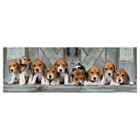 Clementoni puzzel Panorama Beagles 1000 stukjes - thumbnail
