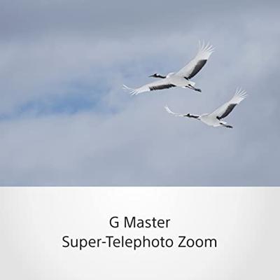 Sony FE 100-400mm F/4.5-5.6 GM OSS - thumbnail