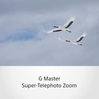 Sony FE 100-400mm F/4.5-5.6 GM OSS OUTLET - thumbnail