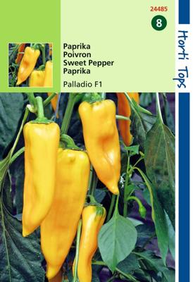 Zaden Paprika Palladio Hybride F1 (Gele Koehoorn) Hortitops - Hortitops
