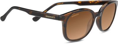 Serengeti Sunglasses 8773 Mara 51 Shiny Tortoise Serengeti Sunglasses 8773 Mara 51 Shiny Tortoise