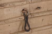 Wanddecoratie Home ESPRIT Beige Natuurlijk Venster 45 X 5 X 51 cm - thumbnail