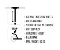 Step Disney Vaiana Rose - thumbnail