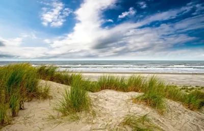 Alexsar Art Tuindoek duinen strand 140x90cm