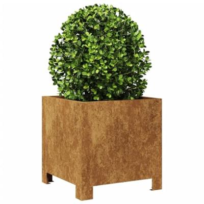 VidaXL Plantenbakken 2 st 30x30x30 cm weervast staal