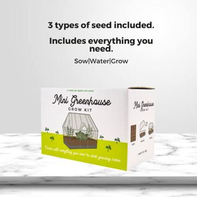 Gift Republic Green House Grow Kit wordt vertaald naar het Nederlands als "Gift Republic Kweekset voor in de kas".