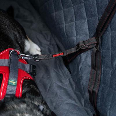 KONG AUTOGORDEL HOND ULTIMATE SAFETY