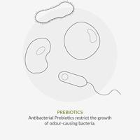 Green People Deodorising prebiotic foot cream 50 Milliliter - thumbnail