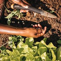 Fiskars Solid Plantstok bollenplanter - thumbnail